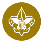 GOLDWeb_coins_BoyScouts